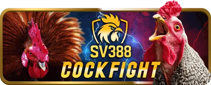 Chương trình VIP mu66